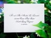 clover-plant-envelope